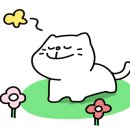 726랩 이미지