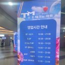 라이언 피치