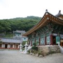 초원랜드 이미지