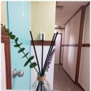 달빛하우스 이미지