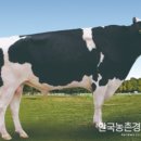 늘목목장 이미지