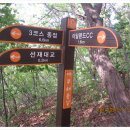 안산-대부-대부-3 이미지