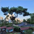 한진에버빌 앞 이미지