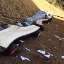 위즈숲유치원 이미지