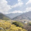 강남경희이경섭한의원 이미지