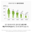 피부 영양제 콜라겐 추천 먹는 히알루론산 영롱 트리플 리프티 말차 콜라겐 후기