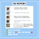 성공PT | 숙대 PT 다이어트 성공 후기? 체계적인 시스템이 결과를 만듭니다