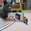 나만의 반려 코딩로봇 알쥐 키우기 | 어린이날선물추천 코딩로봇 알쥐 놀이학습. 귀여움의 끝판왕