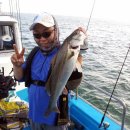 해피플러스 이미지