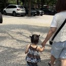 경기도 포천 ㅣ 토일농원 방문 후기 아이랑 가기 좋은 계곡 감성 카페 포천 물놀이 카페