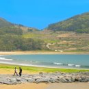 상주은모래비치3 이미지