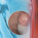 메디Q의원 이미지