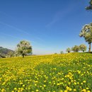 멋진인생 이미지