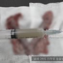 헬리오동물병원 이미지