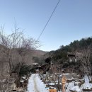 고메똥골 이미지