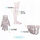 월오사암침, 전립선비대로 오줌소태 또는 방광염. 소변이 잘 안 나오는 증상 치료 이미지