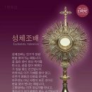 의향법무사;행정사사무소