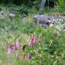 조홍한의원 이미지