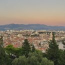 노을약국 이미지