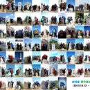 산이네집 이미지