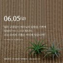 금주교