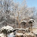 마리펜션 | 부모님과 함께한 힐링 여행, 파주 마리별펜션 후기