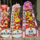 베니키아호텔플라워 | 양산 M컨벤션웨딩뷔페&amp;엠컨벤션 W웨딩 베니키아양산호텔 웨딩홀 결혼식 축하화환이 5만원에!?