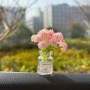 567 쇼핑하우