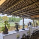 [연천]임진강_댑싸리공원_20251019 이미지