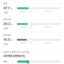벨리댄스(취미) 이미지