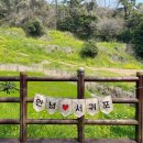 270-3039 | 4월제주도가볼만한곳 엉덩물 계곡 색달해변 유채꽃 명소