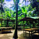 마하생태관광지 이미지