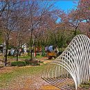 김창환 동산의추억 이미지