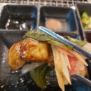 싱싱장어 이미지