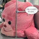 자넷하우스