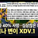 엠폭스와 변종코로나/코로나19 재확산 병균, 마버그, HMPV 독감, RSV, 감기 바이러스 매독 병균... 이미지