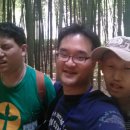 6월 6일 현충일날 그룹홈 친구들과 울산 십리대숲 나들이을 다녀왔어요..^^* 이미지