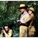 밀밭에서 이미지