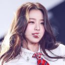 디오드 이미지