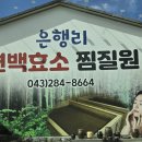은행리 편백효소 찜질원 네이버블로그