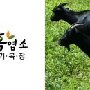 삼지목장 이미지