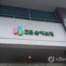 DB 연합뉴스TV