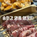 중앙루