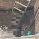 전남물산