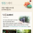 스테이 732 이미지