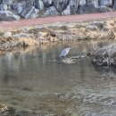 성내1교 하부 이미지