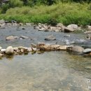 냇가민박 이미지