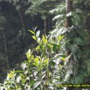 수원-1870 이미지