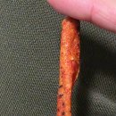 라임 (Lime) | 미국 Trader Joe’s 칠리&amp;라임 롤드 토르티야 칩 후기 (Chili &amp; Lime Rolled Tortilla Chips)