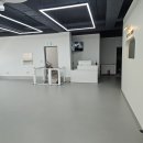 마루콩콩 이미지